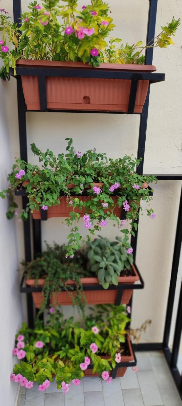 Hotel Edahouse Salerno Exterior foto
